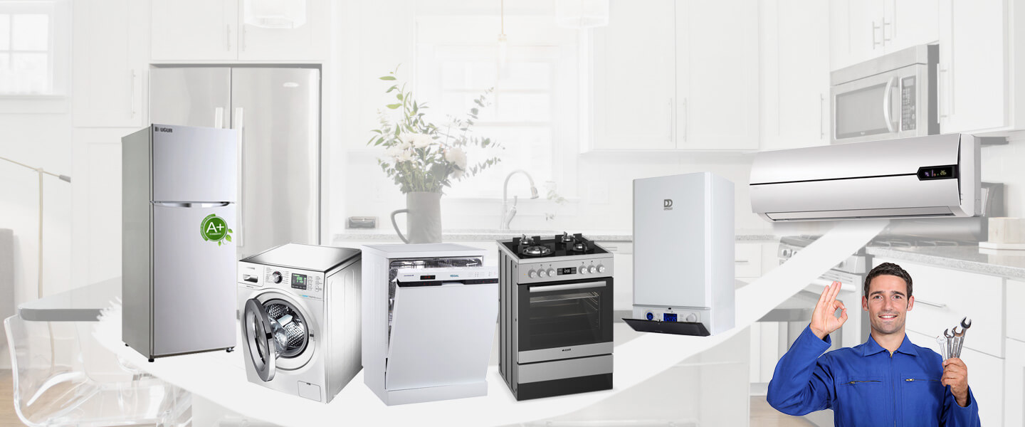 Sarıçam Smeg Servisi